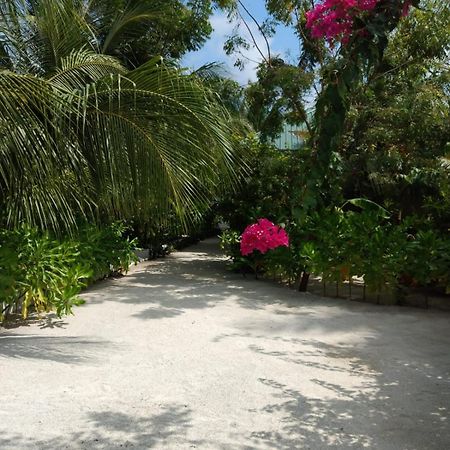 Sunrise Inn Thoddoo Bagian luar foto