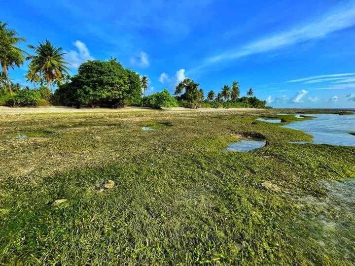 Sunrise Inn Thoddoo Bagian luar foto