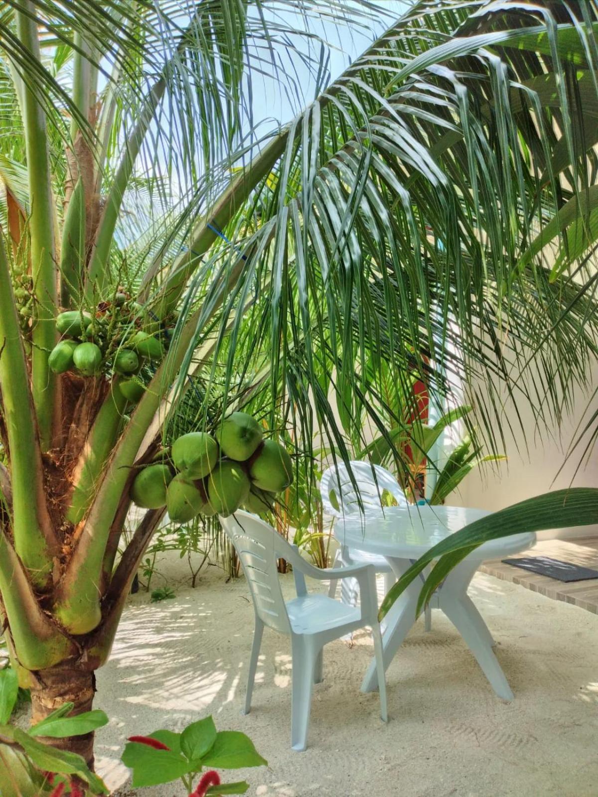 Sunrise Inn Thoddoo Bagian luar foto