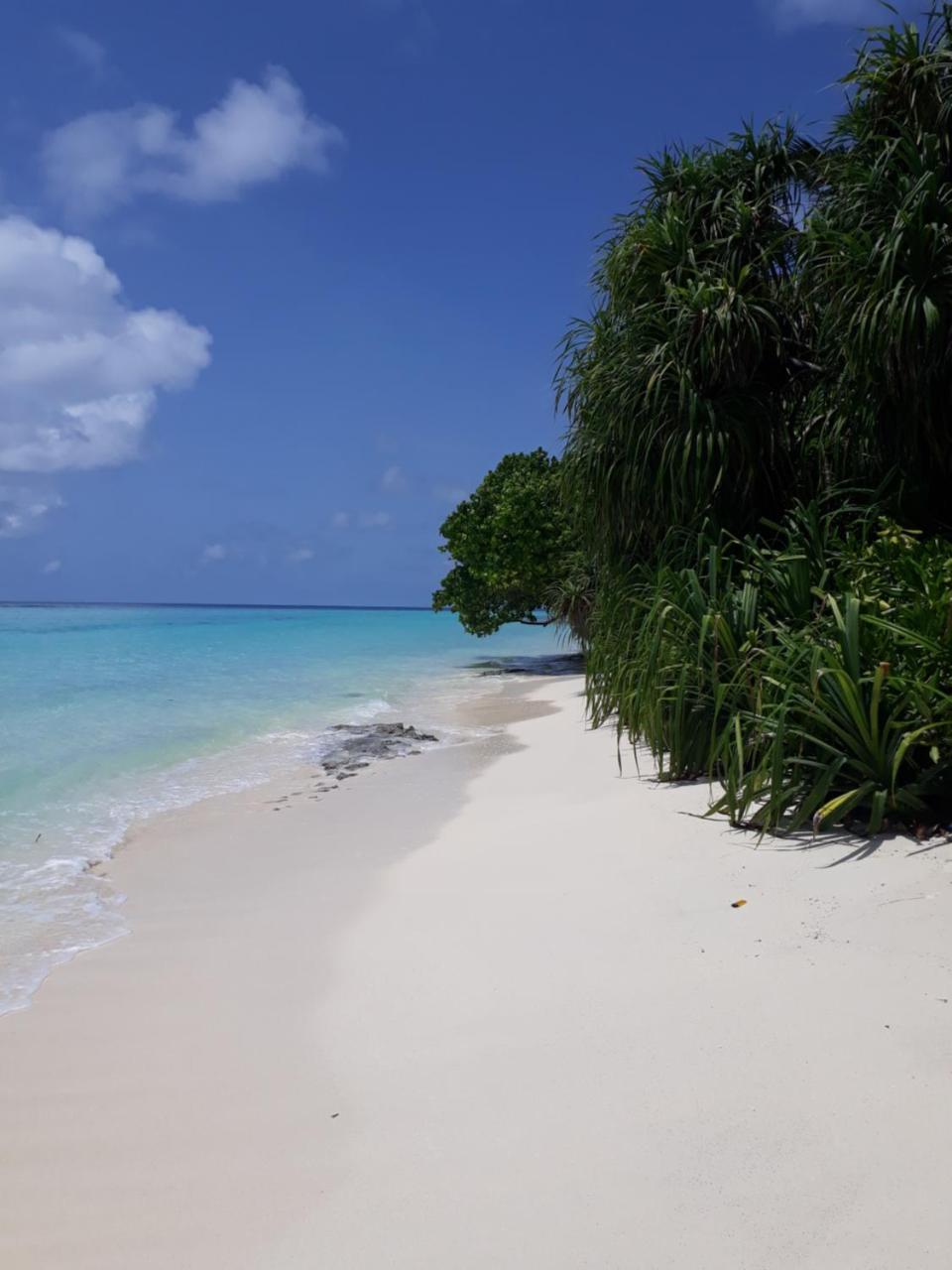 Sunrise Inn Thoddoo Bagian luar foto